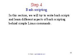 Step 4: Bash Scripting
